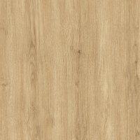 Dąb Carpenter Jasny