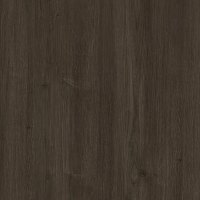 Dąb Carpenter Coffee
