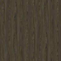 Dąb Windmill ciemny